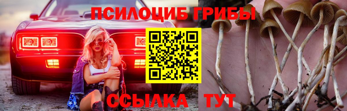Псилоцибиновые грибы мухоморы  Вход с VPN  Печора 